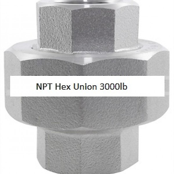 NPT Hex Union 3000lb